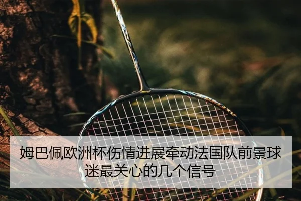 姆巴佩欧洲杯伤情进展牵动法国队前景球迷最关心的几个信号